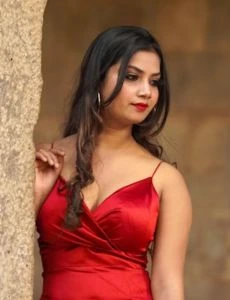 call girl service in Krishnarayapuram